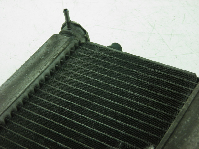 photo de RADIADOR  HONDA FES S-WING SWING 125 (2007 - 2015)