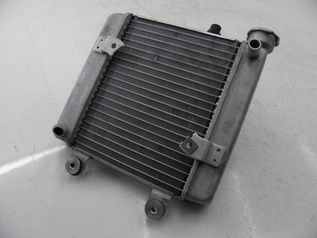 photo de RADIADOR HONDA FES S-WING SWING ABS 125 (2007 - 2015)