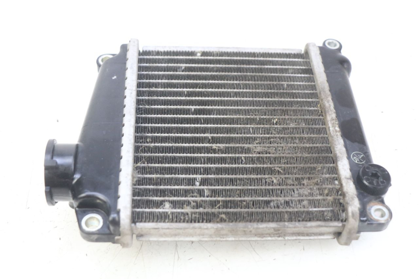 photo de RADIADOR HONDA NHX LEAD 110 (2008 - 2010)