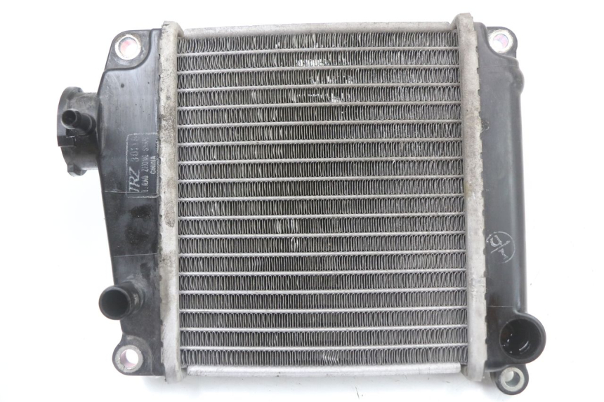 photo de RADIADOR HONDA NHX LEAD 110 (2008 - 2010)