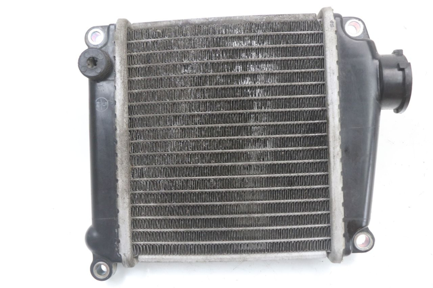 photo de RADIADOR HONDA NHX LEAD 110 (2008 - 2010)