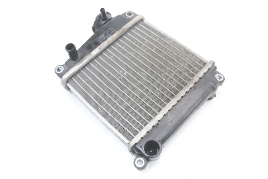 photo de RADIADOR HONDA NHX LEAD 110 (2008 - 2010)