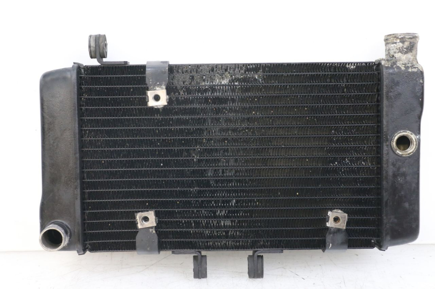 photo de RADIADOR HONDA NTV DEAUVILLE 650 (1998 - 2001)
