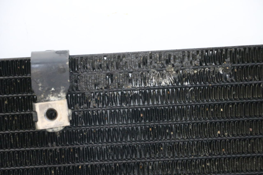 photo de RADIADOR HONDA NTV DEAUVILLE 650 (1998 - 2001)