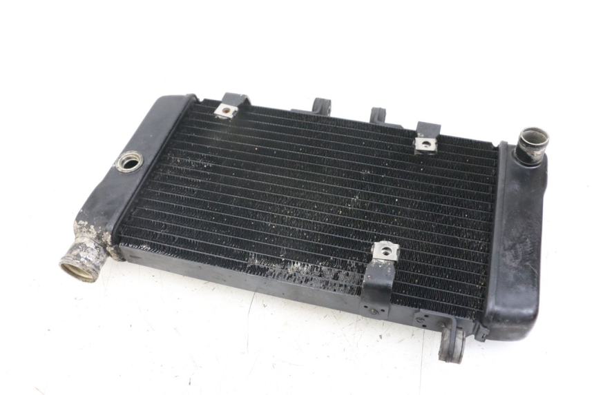 photo de RADIADOR HONDA NTV DEAUVILLE 650 (1998 - 2001)