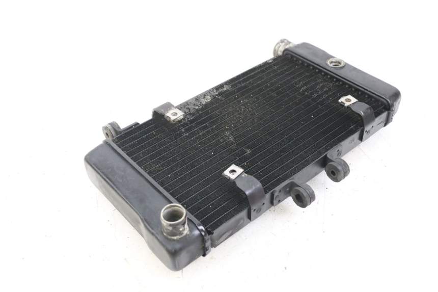photo de RADIADOR HONDA NTV DEAUVILLE 650 (1998 - 2001)