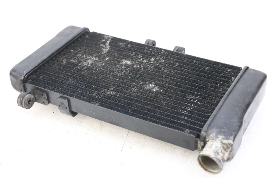 photo de RADIADOR HONDA NTV DEAUVILLE 650 (1998 - 2001)
