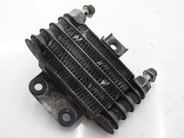 photo de RADIADOR DE ACEITE DAELIM S2 FI 125 (2008 - 2017)