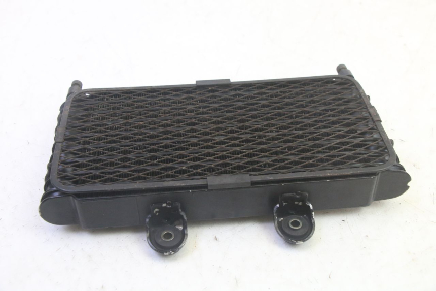 photo de RADIADOR ACEITE SUZUKI GSF N BANDIT 600 (1996 - 1999) - Zoom estado de uso