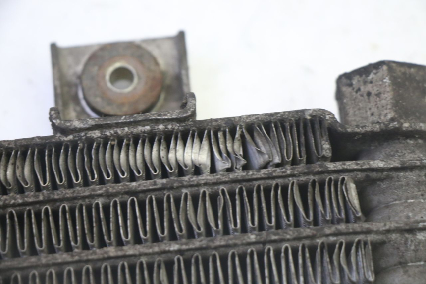 photo de RADIADOR ACEITE DAELIM HISTORY 125 (2001 - 2002)