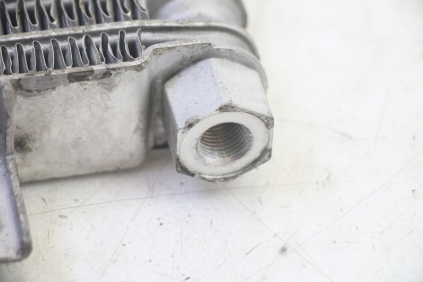 photo de RADIADOR DE ACEITE DAELIM VJ ROADWIN FI 125 (2008 - 2017) - Vista general del producto