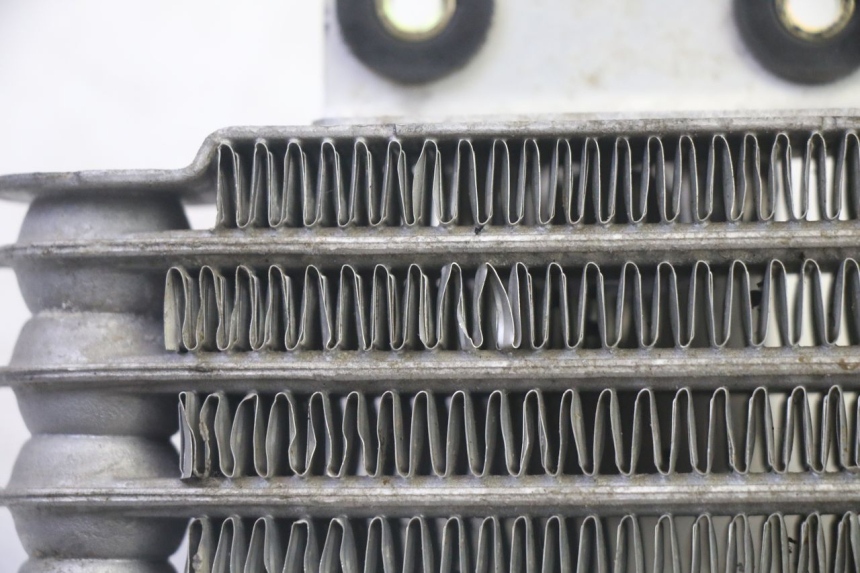 photo de RADIADOR DE ACEITE DAELIM VJ ROADWIN FI 125 (2008 - 2017) - Estado de la superficie y material