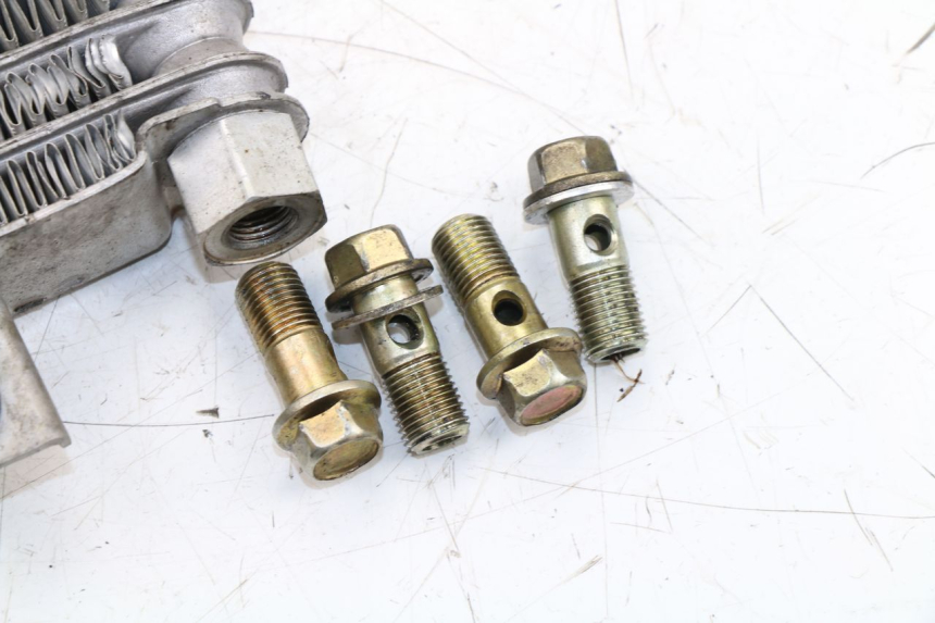 photo de RADIADOR DE ACEITE DAELIM VJ ROADWIN FI 125 (2008 - 2017)