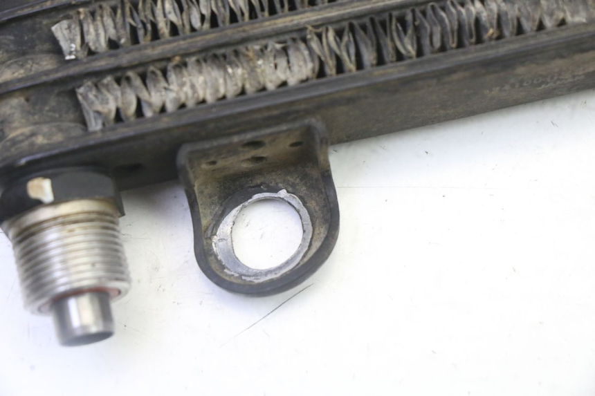 photo de RADIADOR ACEITE YAMAHA YFM R RAPTOR 250 (2008 - 2014)