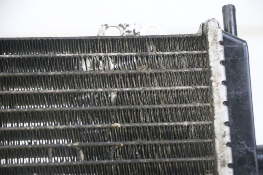 photo de RADIADOR  PEUGEOT JET FORCE CARBU 50 (2003 - 2016)