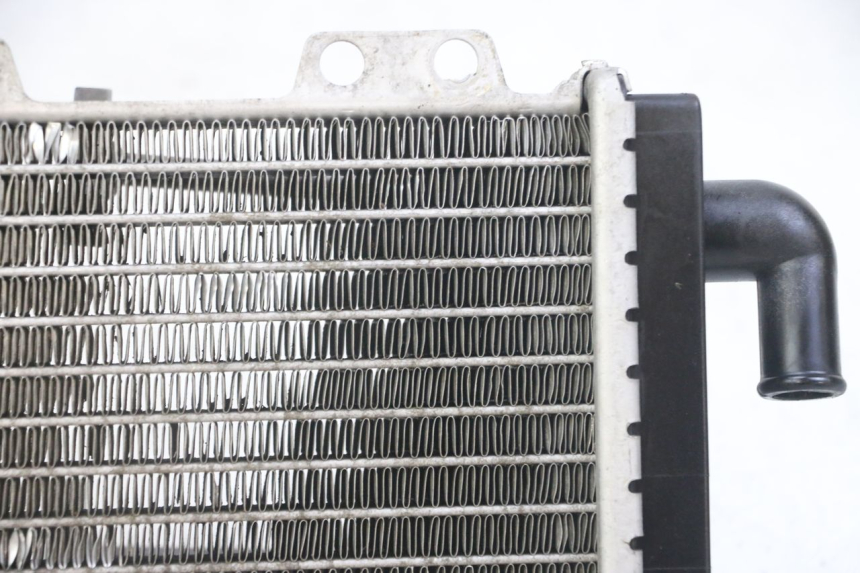 photo de RADIADOR  PEUGEOT JET FORCE CARBU 50 (2003 - 2016)