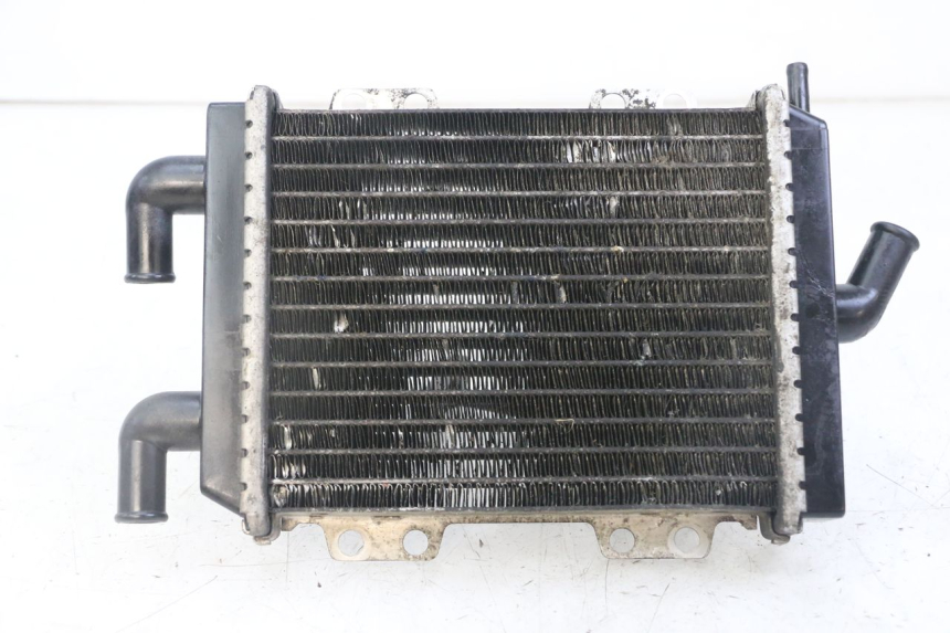 photo de RADIADOR  PEUGEOT JET FORCE CARBU 50 (2003 - 2016)