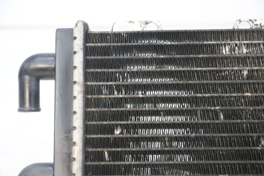 photo de RADIADOR  PEUGEOT JET FORCE CARBU 50 (2003 - 2016)