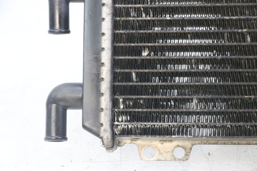 photo de RADIADOR  PEUGEOT JET FORCE CARBU 50 (2003 - 2016)