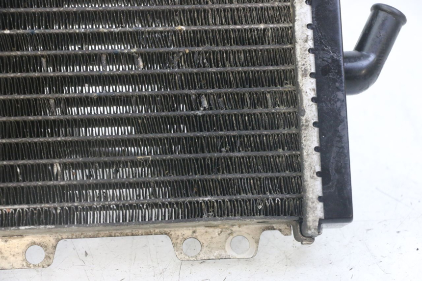 photo de RADIADOR  PEUGEOT JET FORCE CARBU 50 (2003 - 2016)