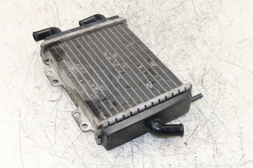 photo de RADIADOR  PEUGEOT JET FORCE TSDI 50 (2003 - 2009)