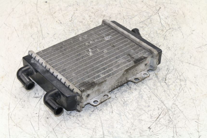 photo de RADIADOR  PEUGEOT JET FORCE TSDI 50 (2003 - 2009)