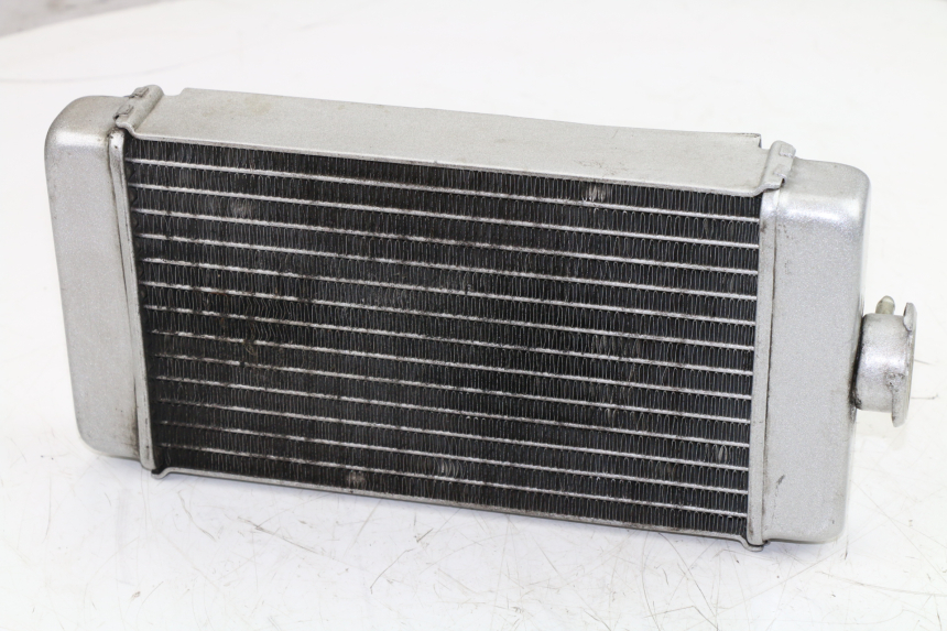 photo de RADIADOR  LEONART DAYTONA 125 (2014 - 2017)