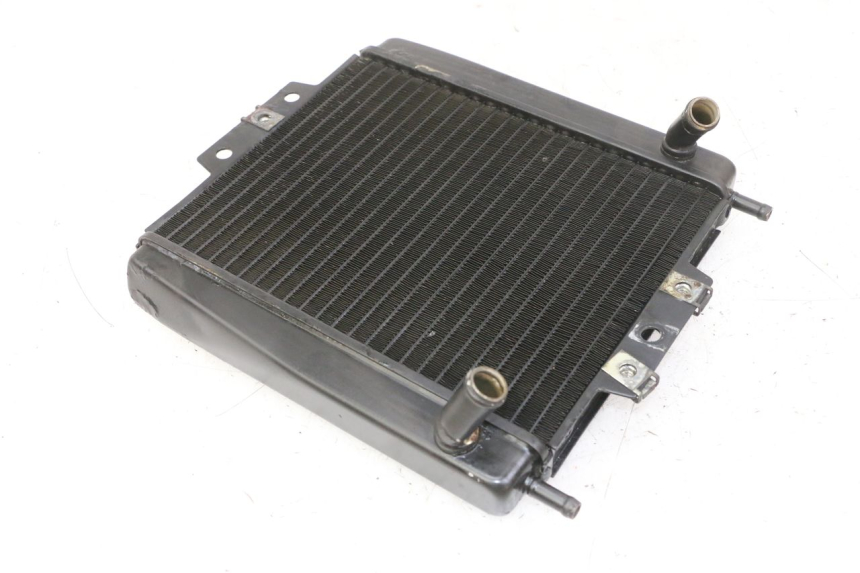 photo de RADIADOR PIAGGIO MP3 LT 300 (2010 - 2016)
