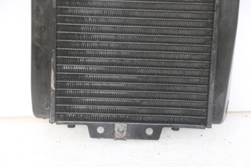 photo de RADIADOR PIAGGIO MP3 LT 300 (2010 - 2016)
