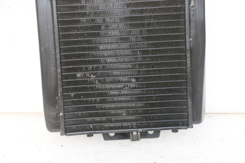 photo de RADIADOR PIAGGIO MP3 LT 300 (2010 - 2016)