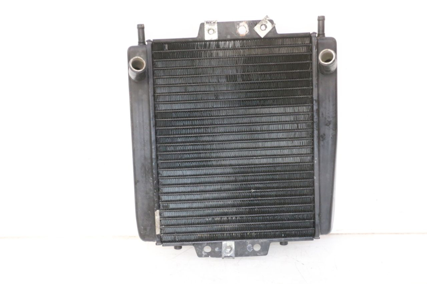 photo de RADIADOR  PIAGGIO MP3 RL 250 (2007 - 2010)