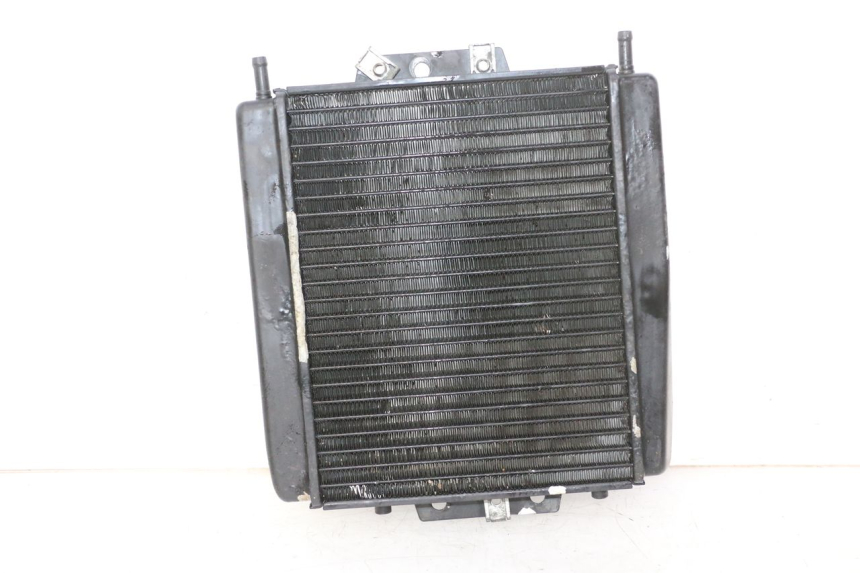 photo de RADIADOR  PIAGGIO MP3 RL 250 (2007 - 2010)