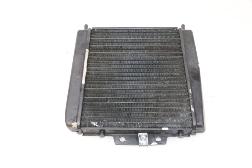 photo de RADIADOR  PIAGGIO MP3 RL 250 (2007 - 2010)
