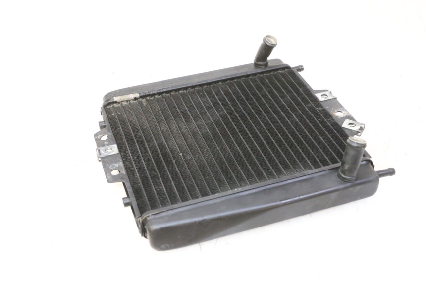 photo de RADIADOR  PIAGGIO MP3 RL 250 (2007 - 2010)