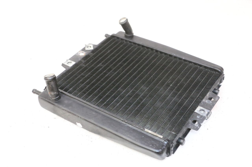 photo de RADIADOR  PIAGGIO MP3 RL 250 (2007 - 2010)