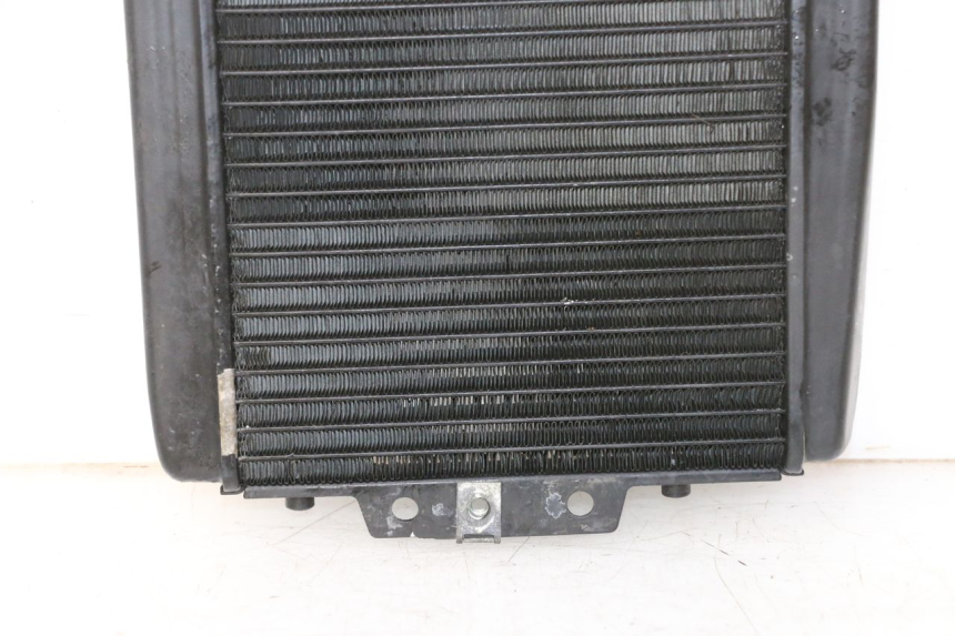 photo de RADIADOR  PIAGGIO MP3 RL 250 (2007 - 2010)