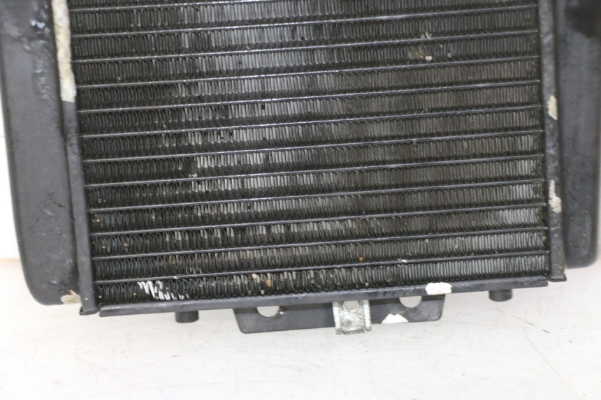 photo de RADIADOR  PIAGGIO MP3 RL 250 (2007 - 2010)