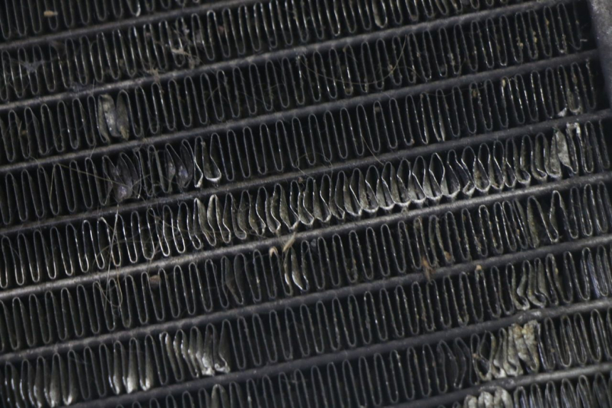 photo de RADIADOR  PIAGGIO MP3 125 (2006 - 2014)