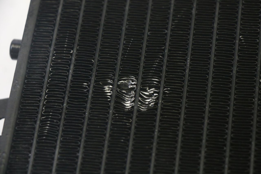 photo de RADIADOR  PIAGGIO MP3 RL 250 (2007 - 2010) - Detalle de la pieza