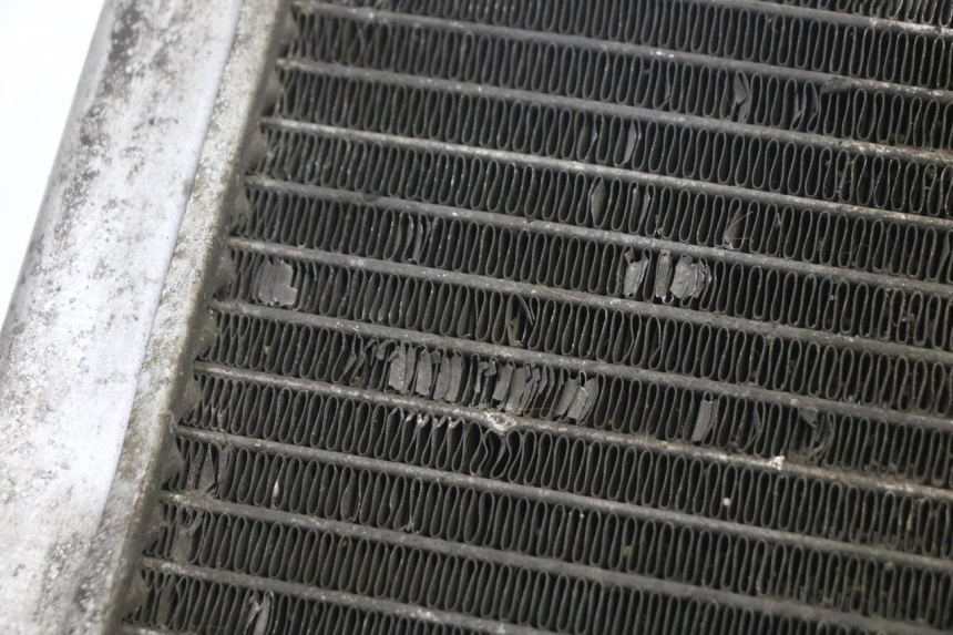 photo de RADIADOR GILERA NEXUS 125 (2009 - 2013)