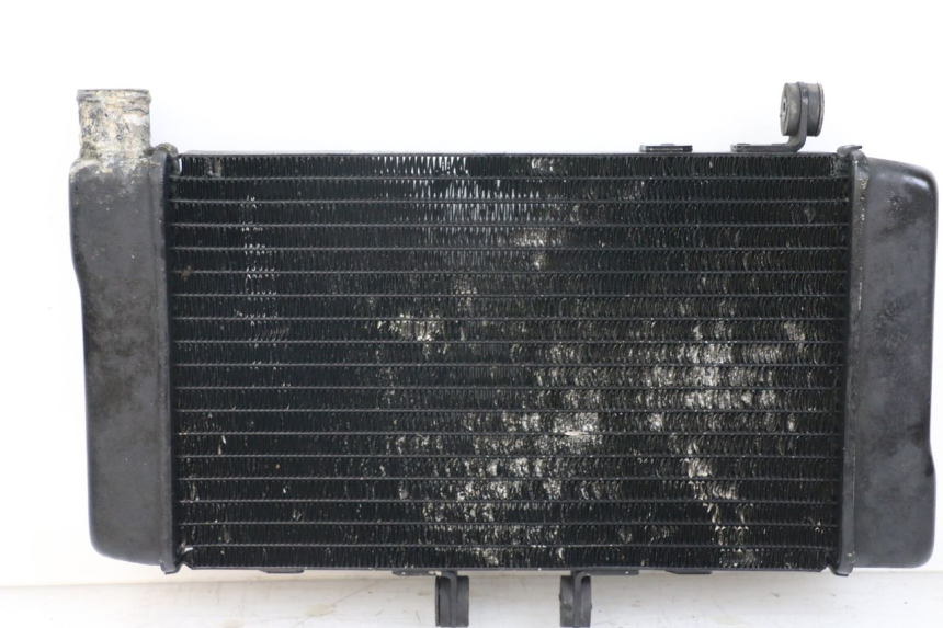 photo de RADIADOR HONDA NTV DEAUVILLE 650 (1998 - 2001)