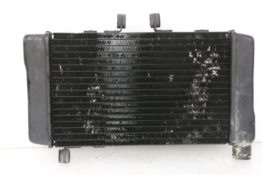 photo de RADIADOR  HONDA NTV DEAUVILLE 650 (2001 - 2006)