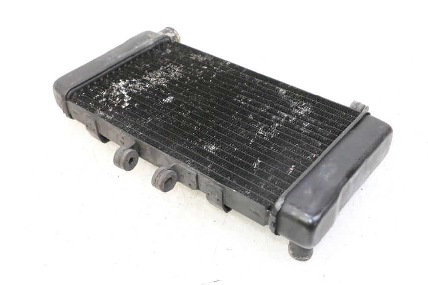 photo de RADIADOR  HONDA NTV DEAUVILLE 650 (2001 - 2006)