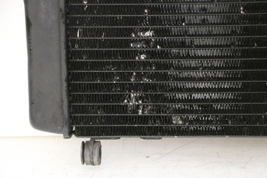 photo de RADIADOR  HONDA NTV DEAUVILLE 650 (2001 - 2006)
