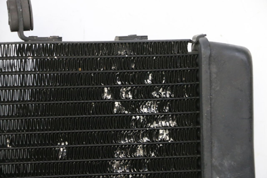 photo de RADIADOR  HONDA NTV DEAUVILLE 650 (2001 - 2006)