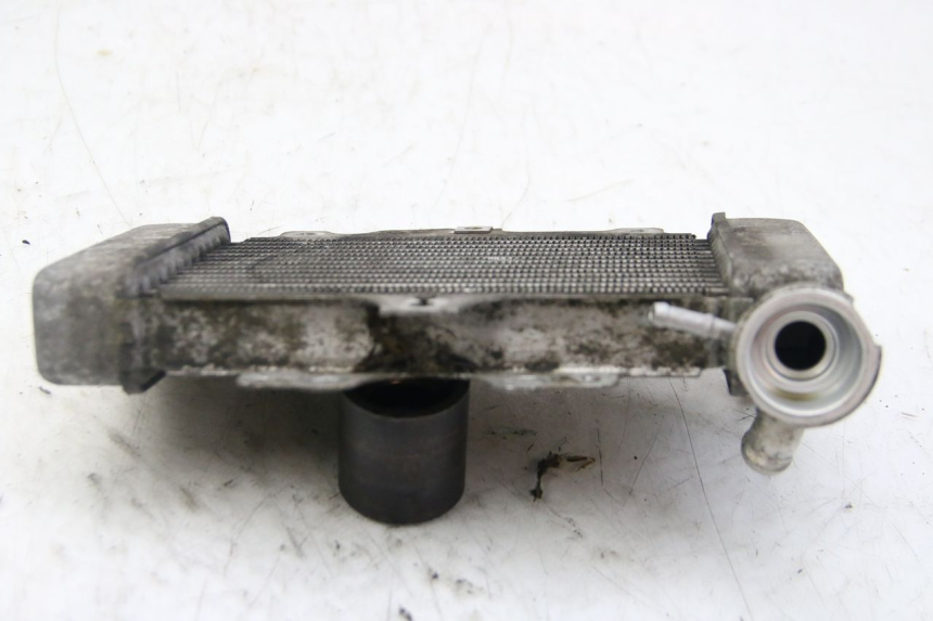 photo de RADIADOR HONDA PES PS I 125 (2006 - 2012)