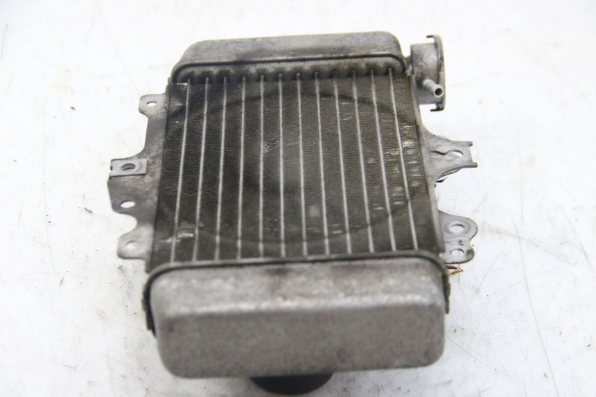 photo de RADIADOR HONDA PES PS I 125 (2006 - 2012)