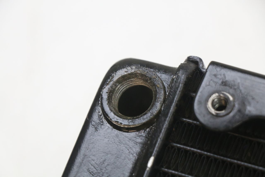 photo de RADIADOR  REGAL RAPTOR SPYDER 125 (2010 - 2018) - Detalle de la pieza