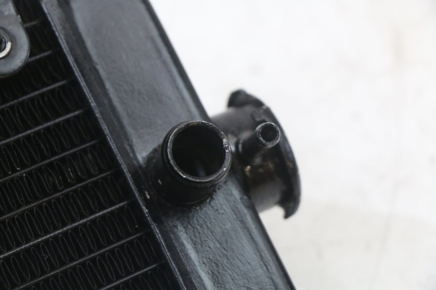 photo de RADIADOR  REGAL RAPTOR SPYDER 125 (2010 - 2018) - Otra perspectiva