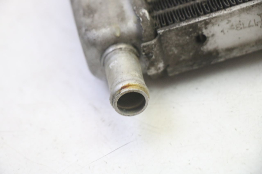 photo de RADIADOR GILERA RUNNER SP 50 (2009 - 2017)